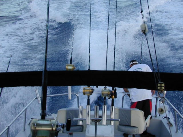  Sport fishing 